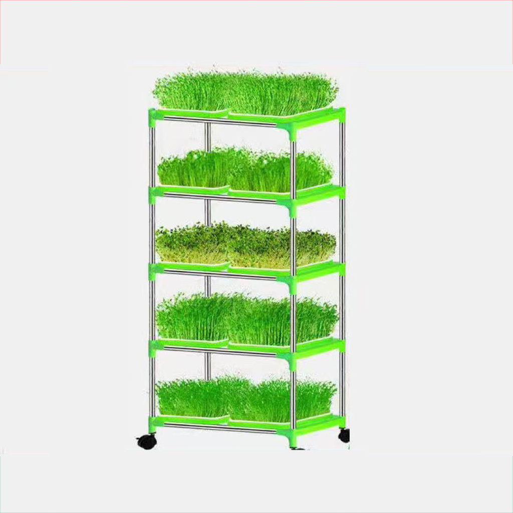 DD1677  Garden Growing Paper Starter Wheatgrass Seeds Box with Cover Grower Nursery Germination Hydroponics Seed Sprouter Tray