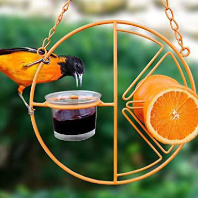 DLL429  Hot Sale Orange Clementine Design Humming Brid Outdoor Garden Hanging Bird Feeder with Glass Jelly cup