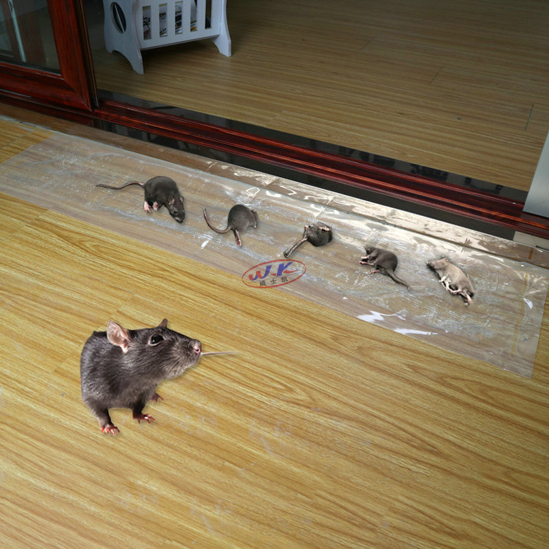 LSP162 High Quality Strong Stickiness Adhesive Paperboard Mouse Rat Glue Trap Board for Pest Mice Control Mouse Glue Trap