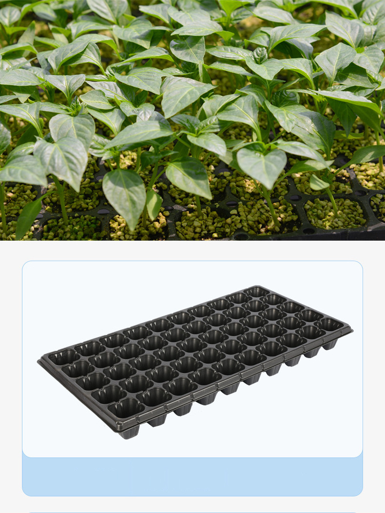 GG302 PS Nursery seeding flat Trays 21Cells Large Reusable Black Plug Seed Starter Tray Garden Plant Growing Seeding