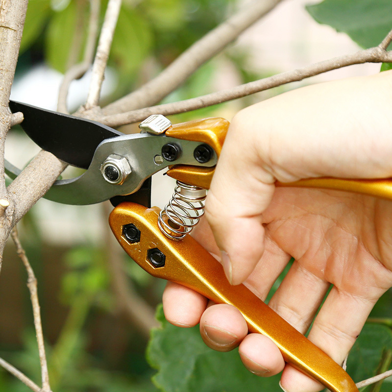 LSP49 Multifunctional Gardening Tools Stainless Steel Flower Grape Shears Garden Pruning Scissors Bypass Pruner Garden Shears