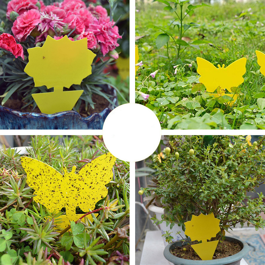 DLL588 Fruit Fly Traps Fungus Gnat Traps Yellow Sticky Bug Traps Outdoor and Kitchen Use Protect The Plant Insect Catcher