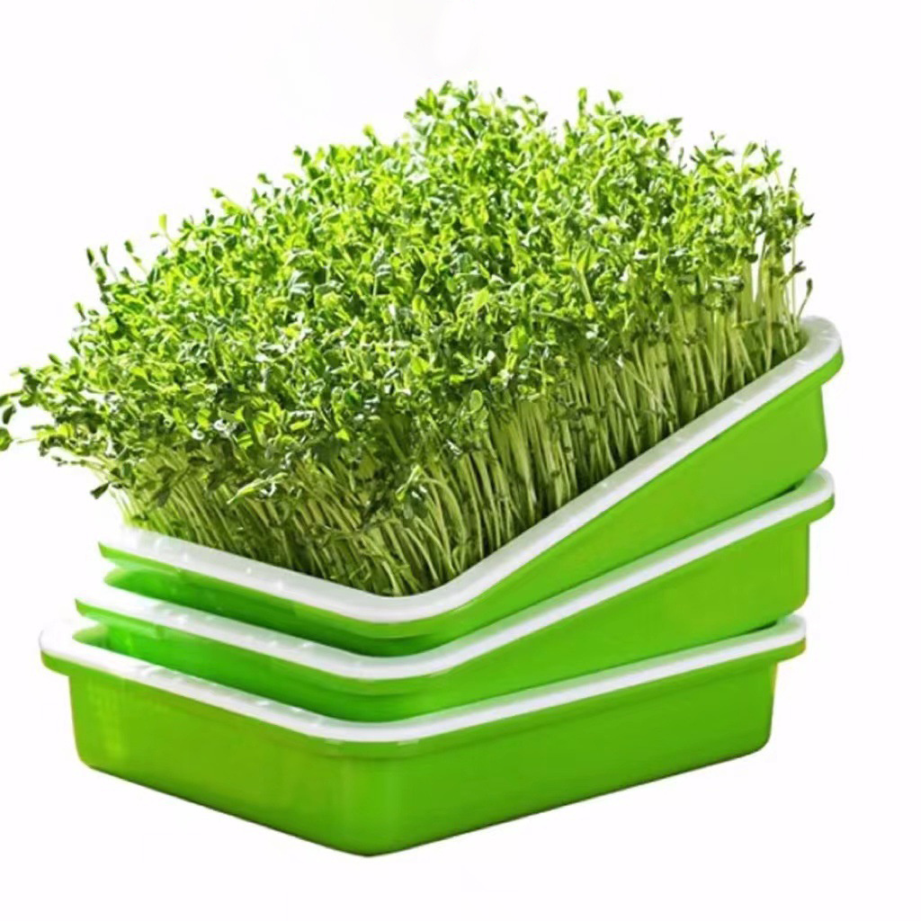 DD1677  Garden Growing Paper Starter Wheatgrass Seeds Box with Cover Grower Nursery Germination Hydroponics Seed Sprouter Tray