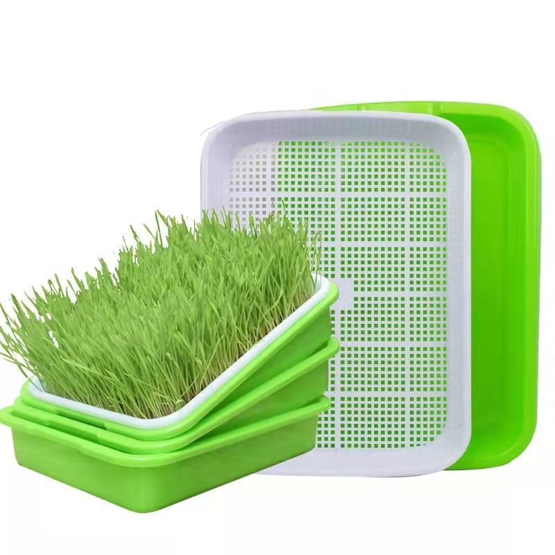 DD1677  Garden Growing Paper Starter Wheatgrass Seeds Box with Cover Grower Nursery Germination Hydroponics Seed Sprouter Tray