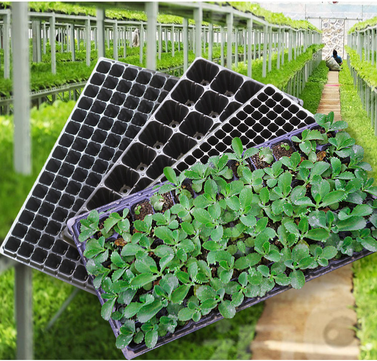 DDA329 Durable 21/32/50/72/105/128 Cells Flower Vegetables Plant Started Germination Growing Seedling Trays Garden Nursery Tray