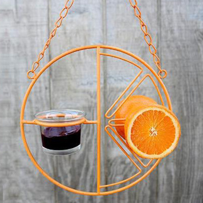 DLL429  Hot Sale Orange Clementine Design Humming Brid Outdoor Garden Hanging Bird Feeder with Glass Jelly cup