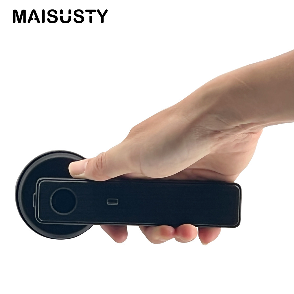 Smart Digital Keyless Entry Front Door Lock Small Password Fingerprint Lock