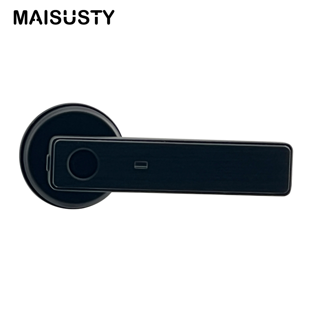 Smart Digital Keyless Entry Front Door Lock Small Password Fingerprint Lock