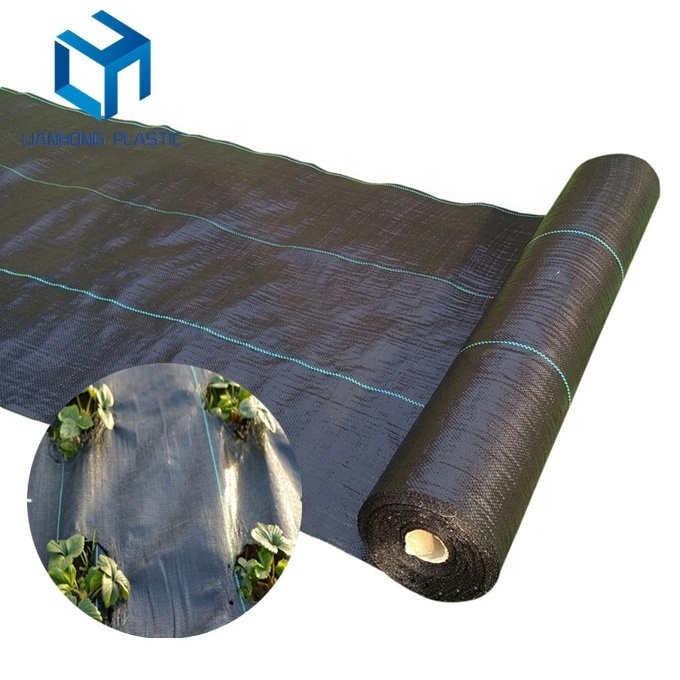 Agriculture PP woven weed barrier fabric anti weed mat for strawberries blueberries horticulture ground cover weed