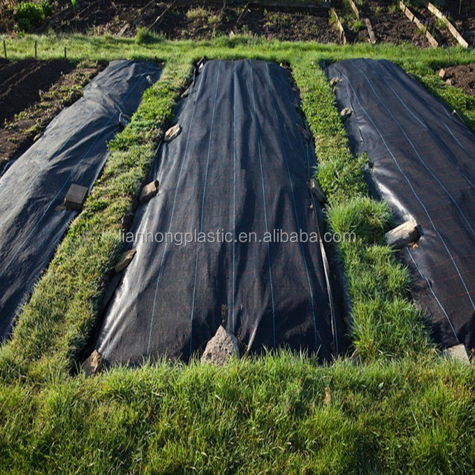 PP Woven cloth geotextile fabric to stop grass growing weed barrier and weed control cloth Garden ground cover anti-UV weed mat