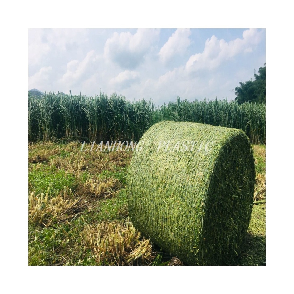 2023 Agriculture Plastic Nets Hay Bale Wrap Net  high quality Custom Size Silage Tarp Silage Film Mulching Plastic