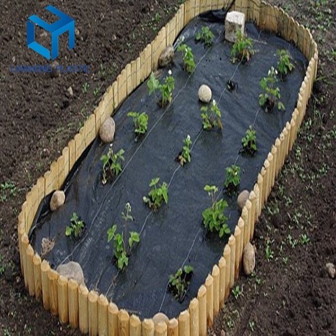 Agriculture PP woven weed barrier fabric anti weed mat for strawberries blueberries horticulture ground cover weed