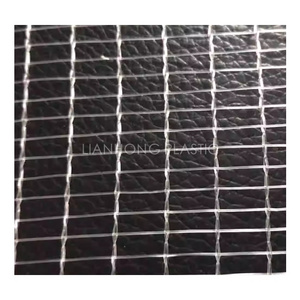 Apple tree plastic anti hail net orchard plant cover , hdpe  leno weave hail protection plastic net crops resist hail net