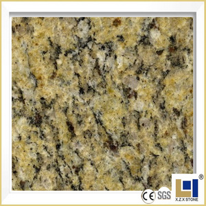 Santa Cecilia Yellow Granite Polished Tile Big Slab Countertop Price