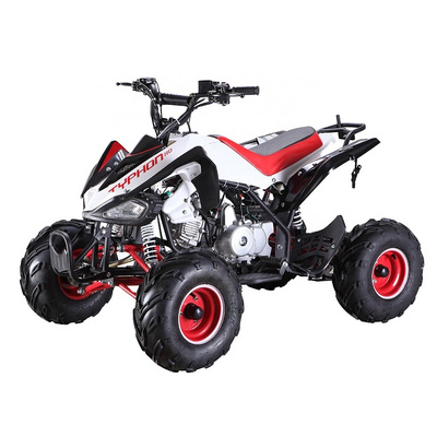 Popular Cheap Chinese Atv Quad 110cc Quad Bike 4 Stroke Four Wheeler 125cc Automatic Atv