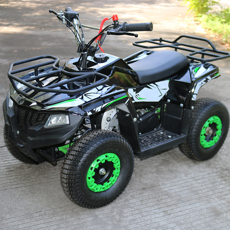 49cc 2 stroke mini atv quad,kids gas powered atv 50cc