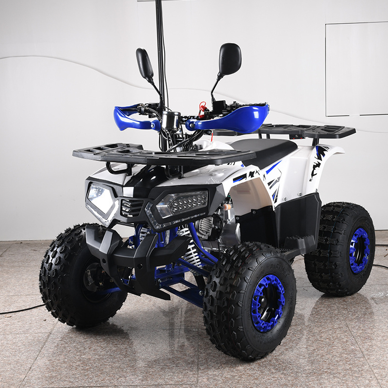 110cc 125CC quad bike 4 wheeler ATV 4x2 Driving for adults