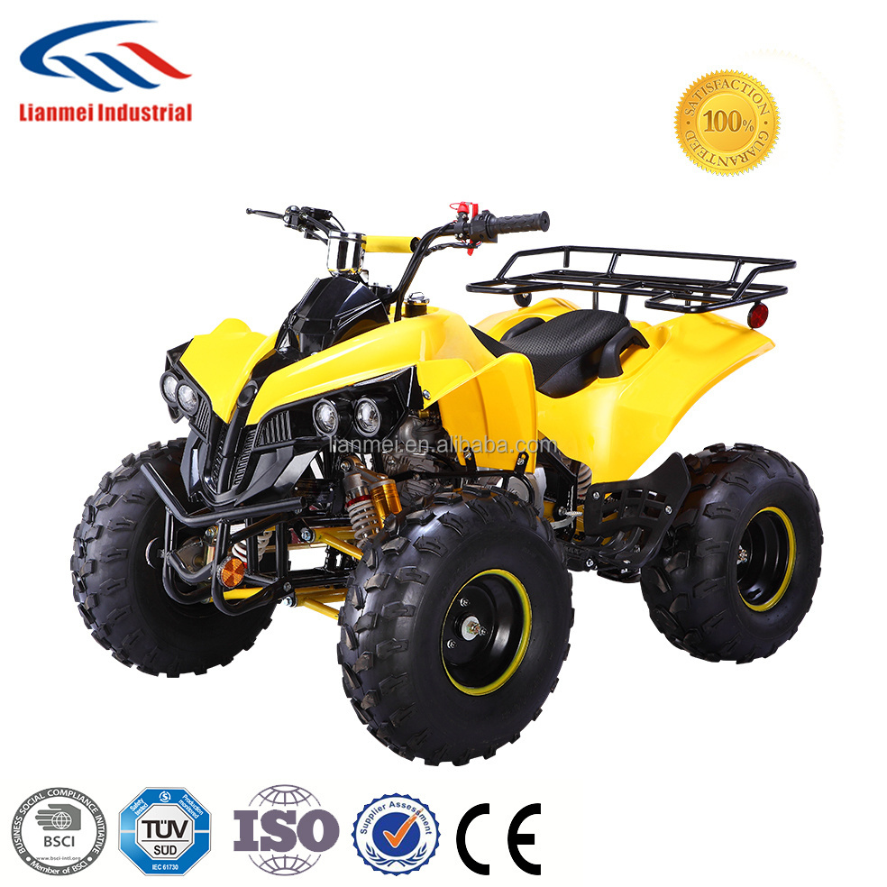 Chinese Gas Power 4 Wheel Motorcycle 110cc ATVs Quad for Sale