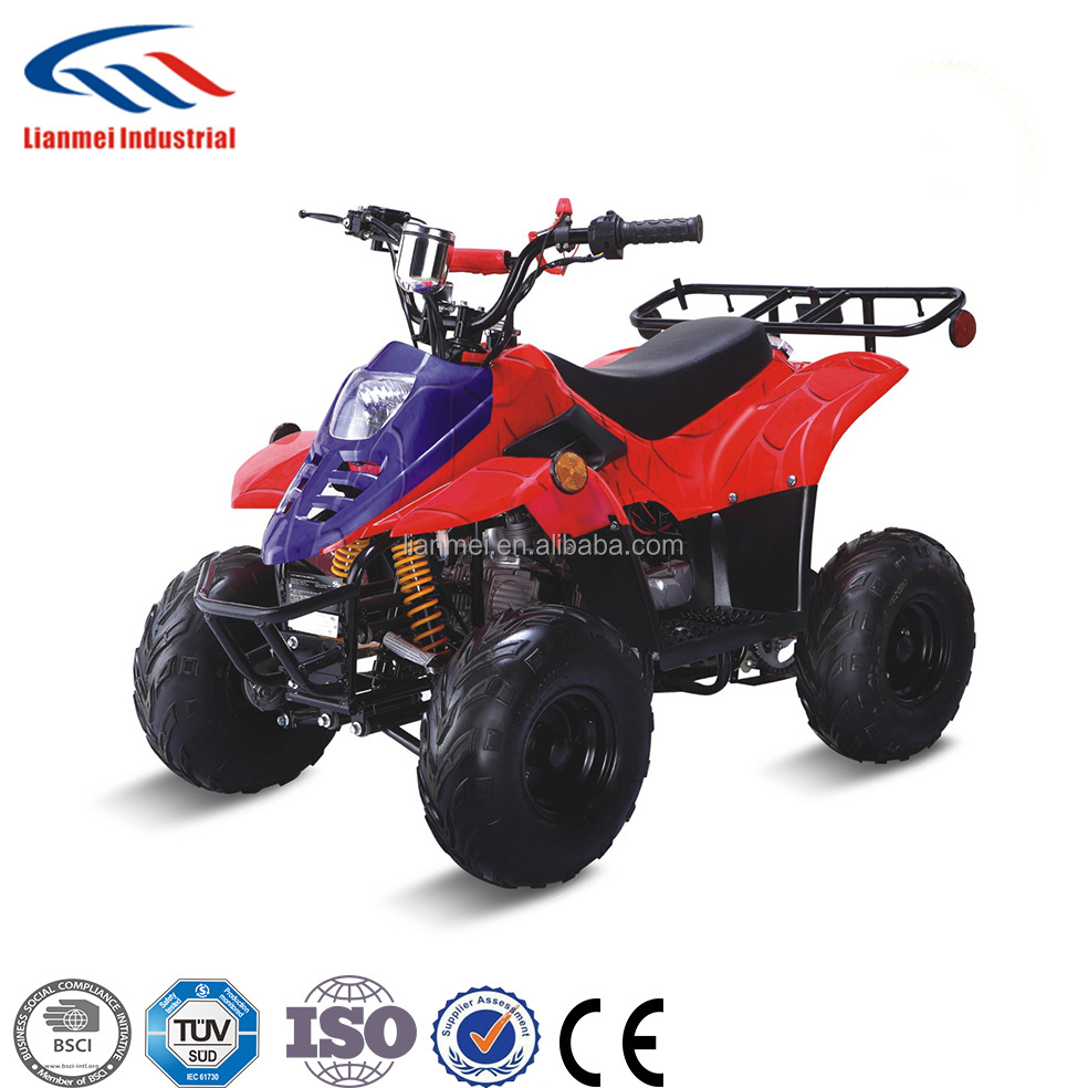 China Raptor 110cc ATV Gas Four Wheelers for Kids with EPA