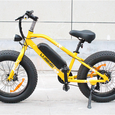 Best selling step through 20" electric fat bike 20inch tire ebike