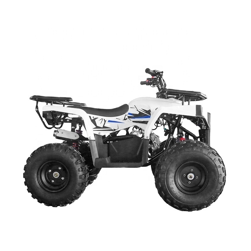 Chinese Cheap 110cc 125cc ATV Quad Bike 125cc Adults ATV with Reverse Gear