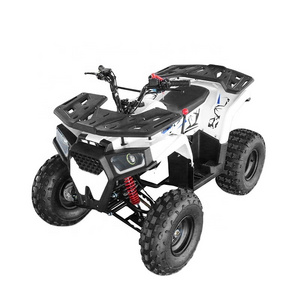 Chinese Cheap 110cc 125cc ATV Quad Bike 125cc Adults ATV with Reverse Gear