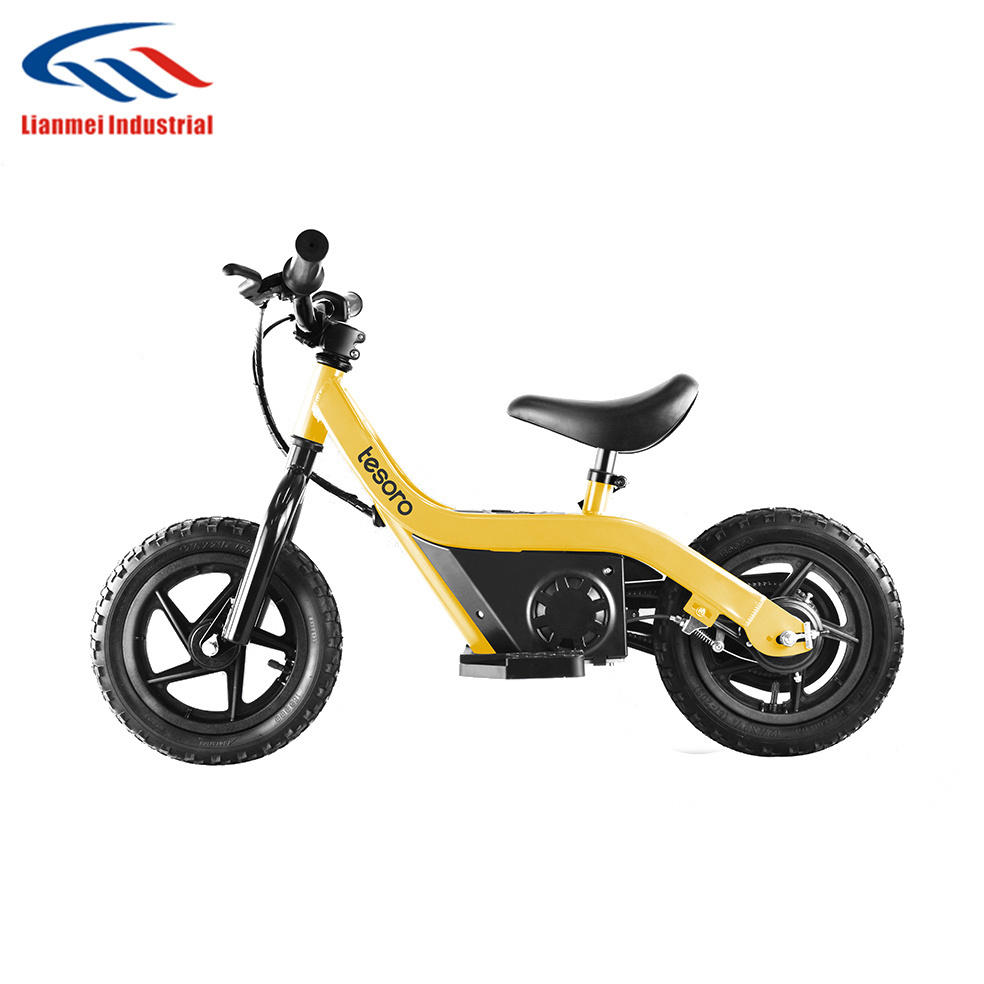 Girls self balance bike Aluminum kids bike electric