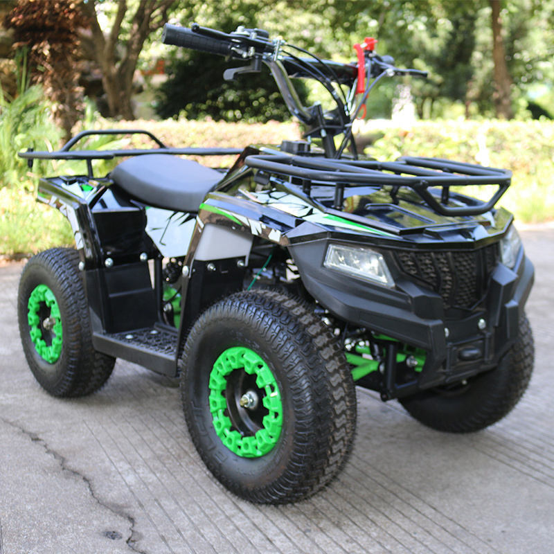 49cc 2 stroke mini atv quad,kids gas powered atv 50cc