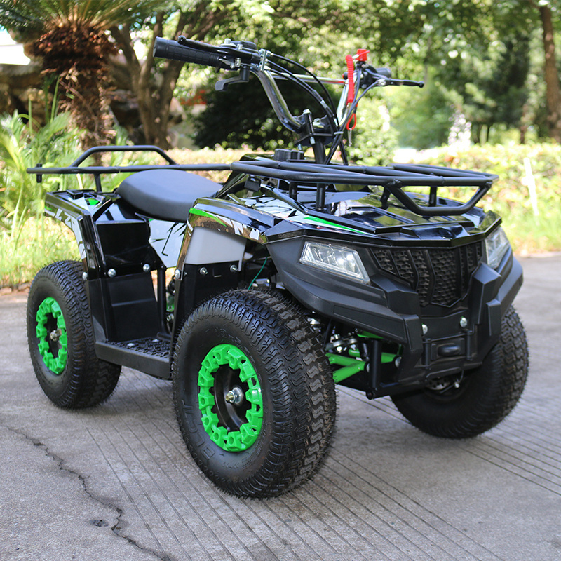 49cc 2 stroke mini atv quad,kids gas powered atv 50cc