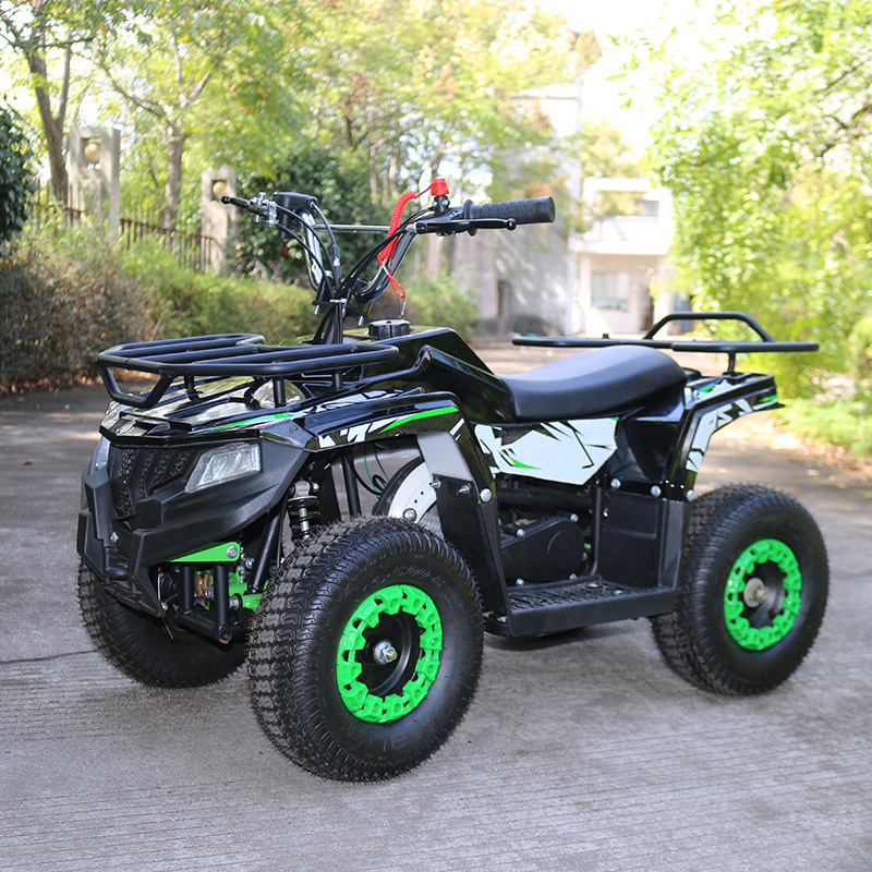 49cc 2 stroke mini atv quad,kids gas powered atv 50cc