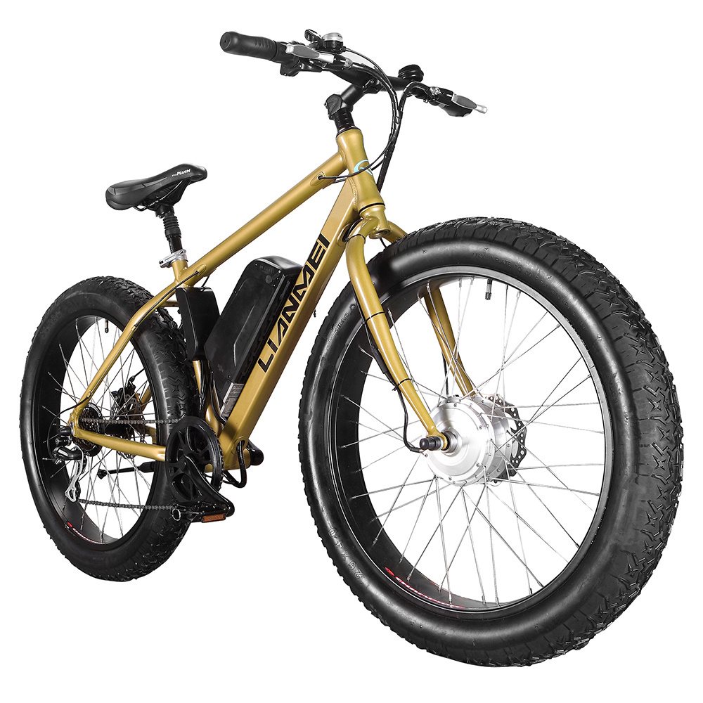 China supplier fat tire bike 26' electric mountain bike sand bikes