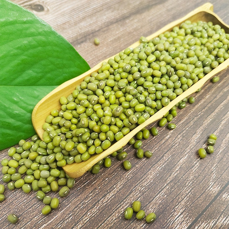 High Quality Green Mung Beans For Sprouts Seed Price