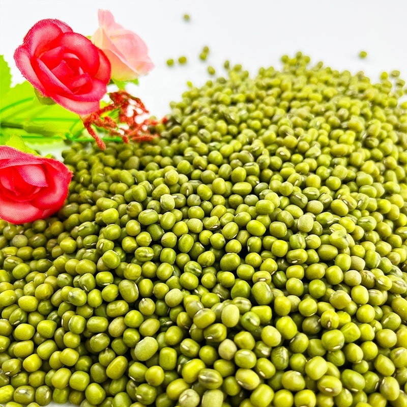 Wholesale bigger size cheap top quality dried green mung beans for sprouting