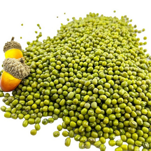 Wholesale bigger size cheap top quality dried green mung beans for sprouting