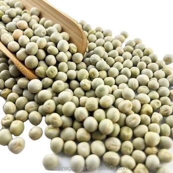 Canned food grade high purity canada green peas