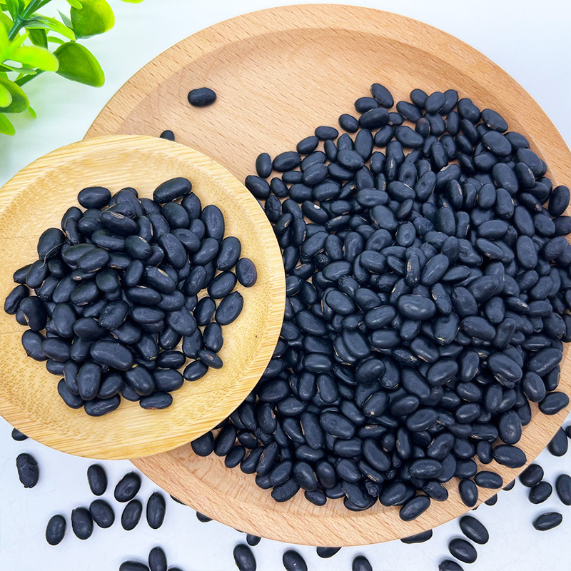 Organic Black Lentils Whole Vegan Banting Black Beans