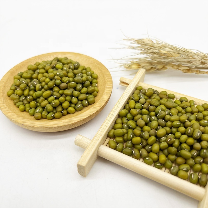 High Quality Green Mung Beans For Sprouts Seed Price