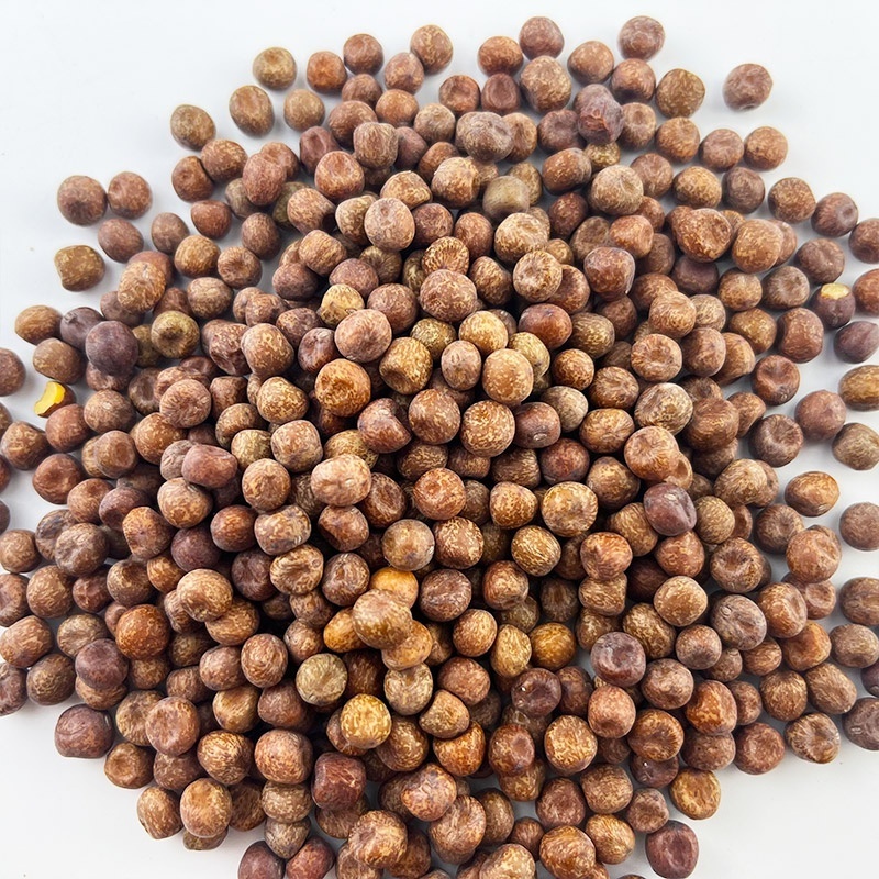 Feed grade dried maple peas  for sale