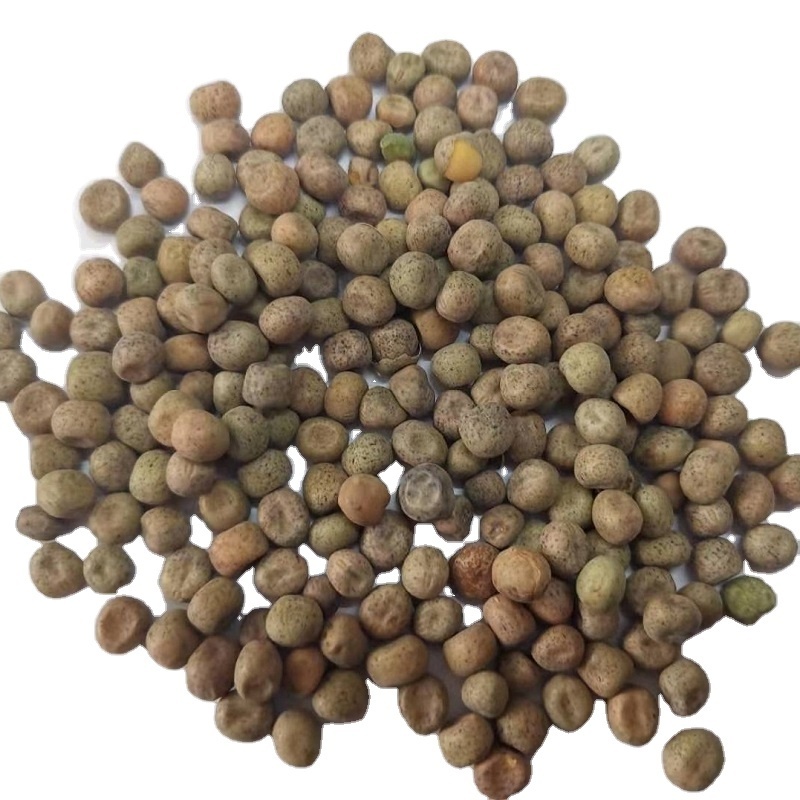 Premium quality dried maple peas  China origin maple peas for sprouting