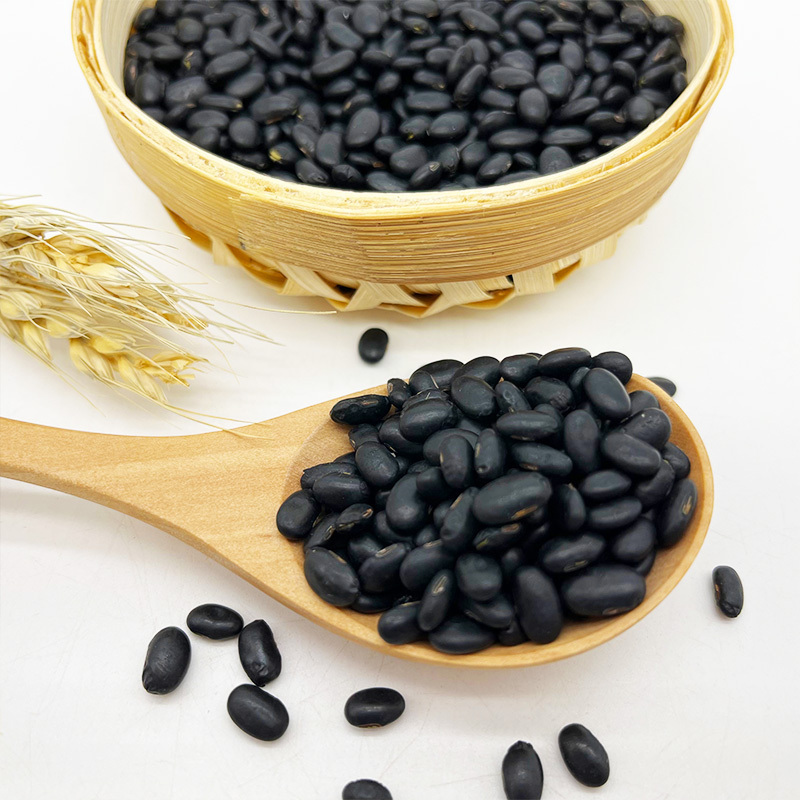 Organic Black Lentils Whole Vegan Banting Black Beans