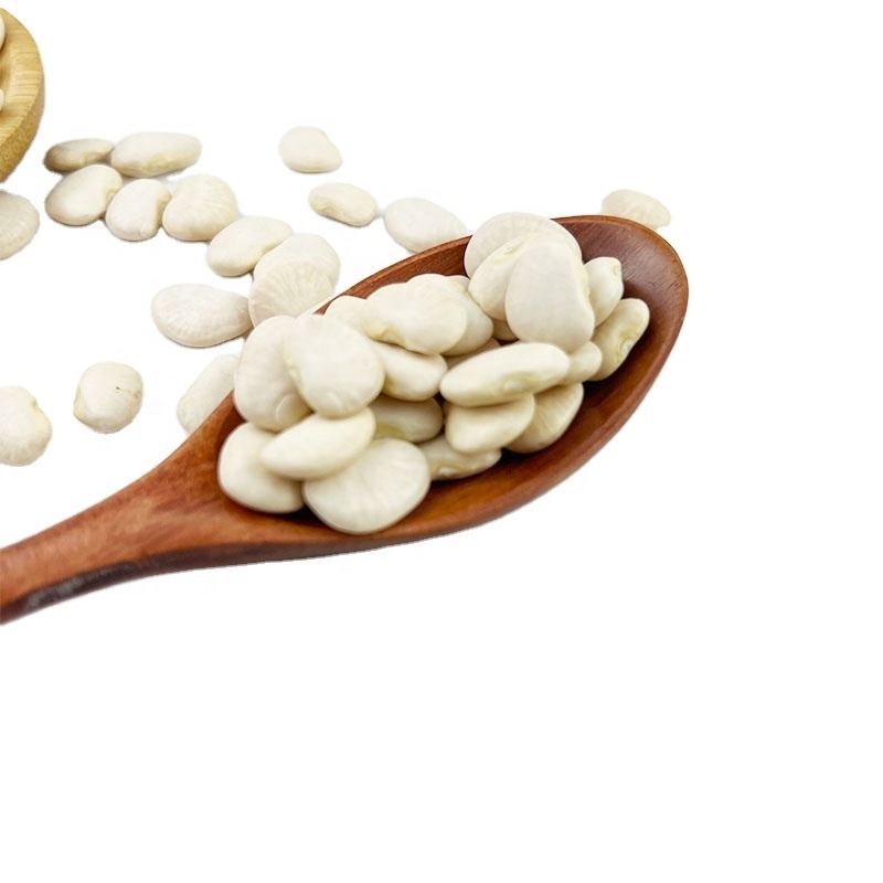 Top Quality butter beans/ White kidney beans at lowest price for Exporting Lima beans