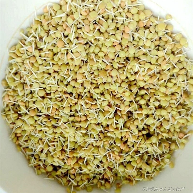 Natural Quality Best Price Football Green Lentils Available In Bulk red lentil Widely Selling Export Quality