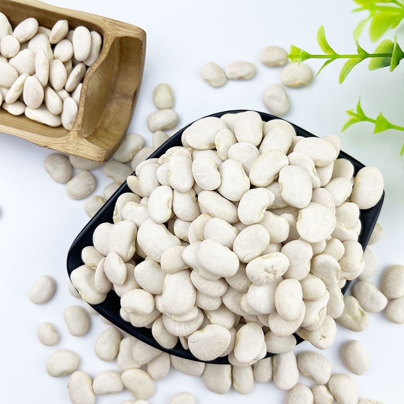 Top Quality butter beans/ White kidney beans at lowest price for Exporting Lima beans