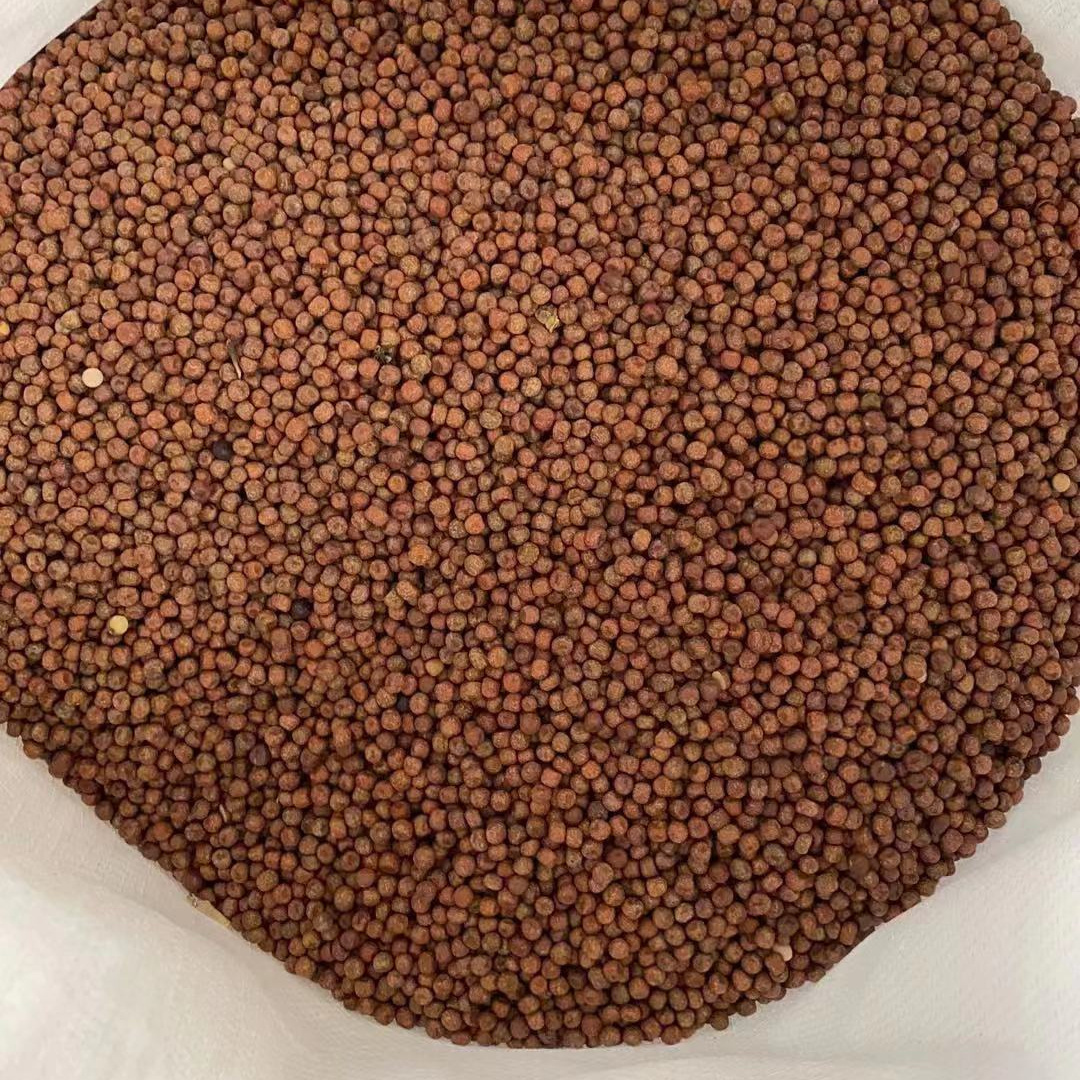 Dried maple peas new crop feed grade peas for sale