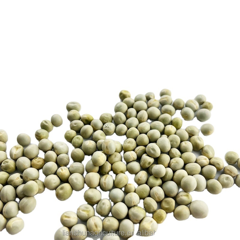 Canned food grade high purity canada green peas