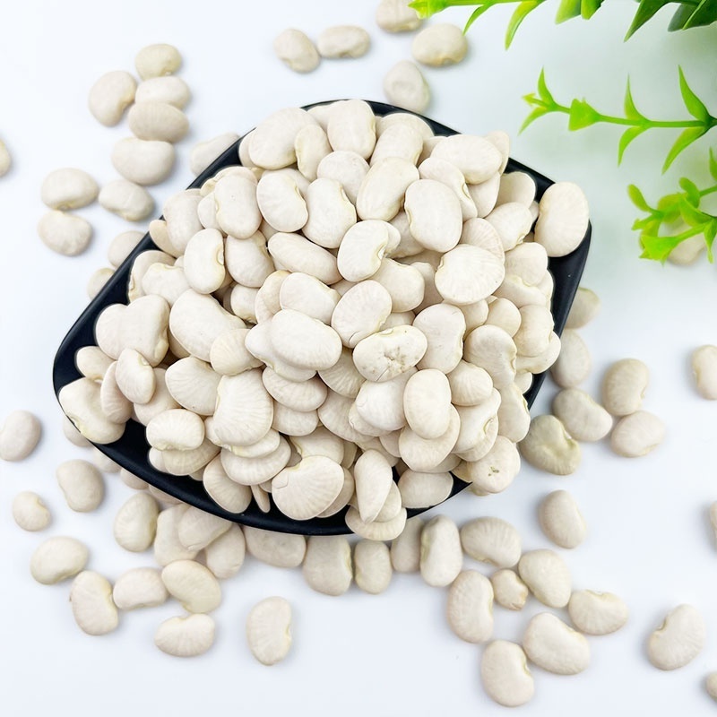 Top Quality butter beans/ White kidney beans at lowest price for Exporting Lima beans