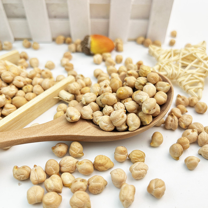 High Quality Supply Chickpeas Wholesales Bulk Price from China White Chick Pea / Dried Chickpea