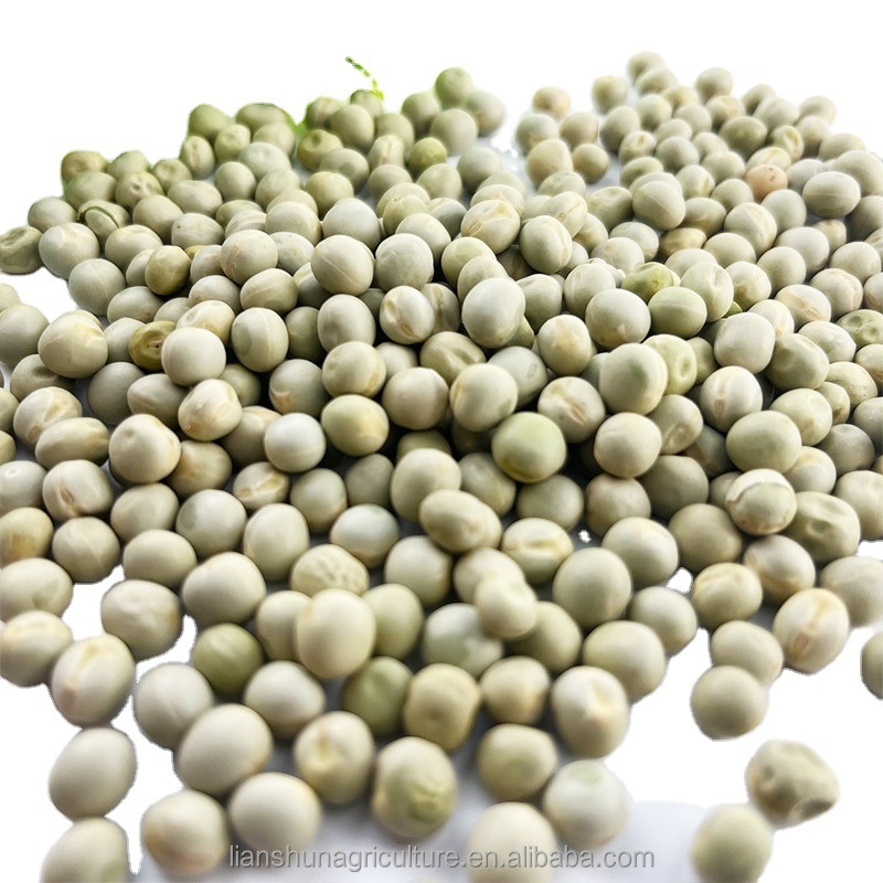 Canned food grade high purity canada green peas