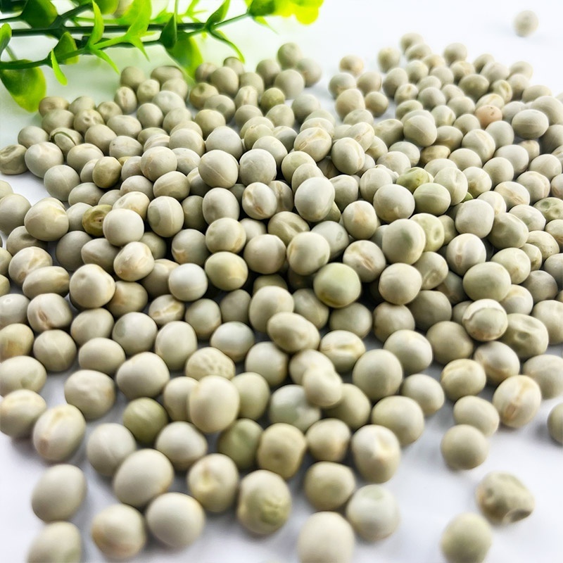 Green raw peas whole green peas Best Quality Dried Green Pea