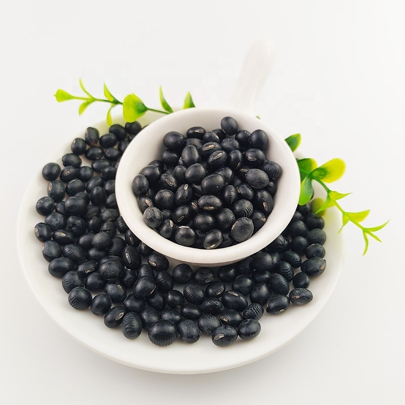 Black kidney beans Black Beans China product at cheapest price